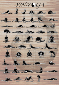 Yin-Yoga Poster (Chandini Yoga)