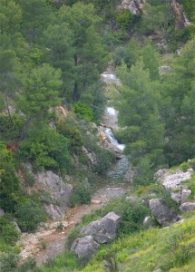 riu_algar (Trekking, hiking en wandelroutes)